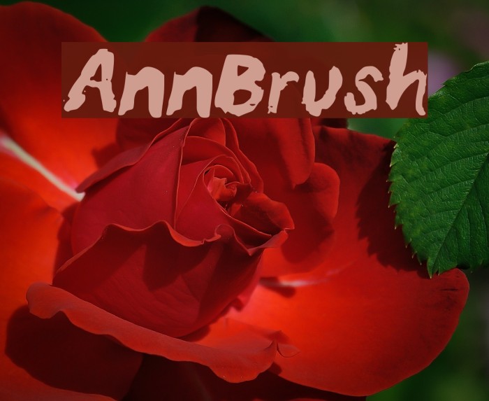 AnnBrush Example 2