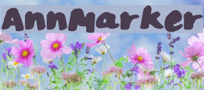 AnnMarker Font examples
