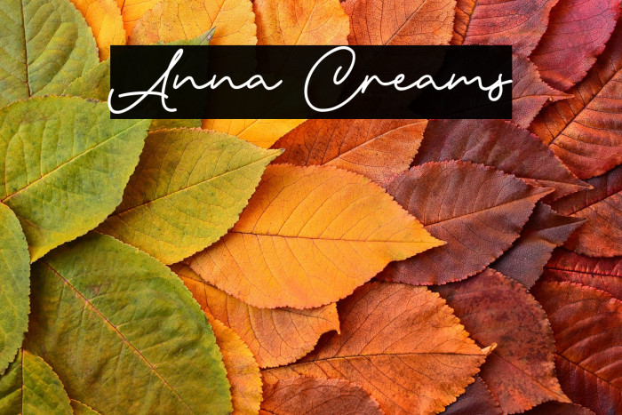 Anna Creams Example 2