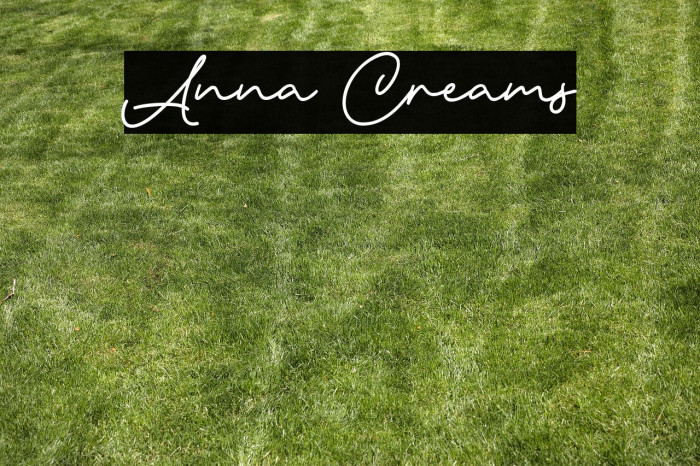 Anna Creams Example 3