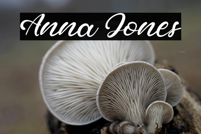 Anna Jones Example 1