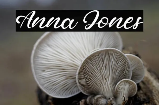 Anna Jones Example 1