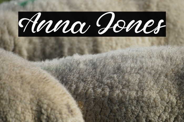 Anna Jones Example 3