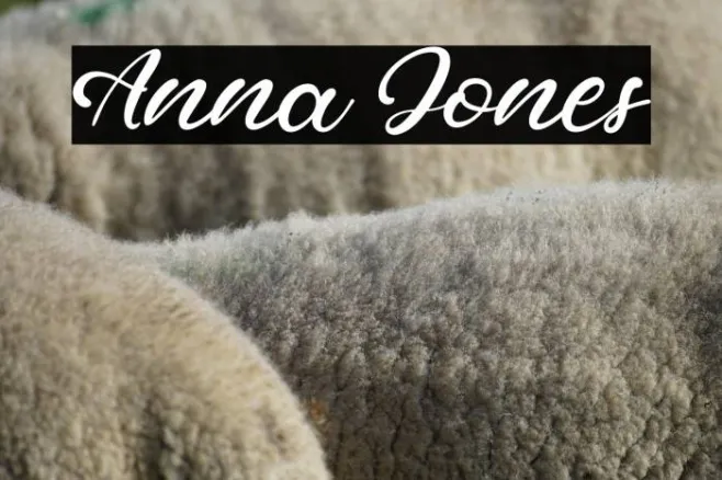 Anna Jones Example 3