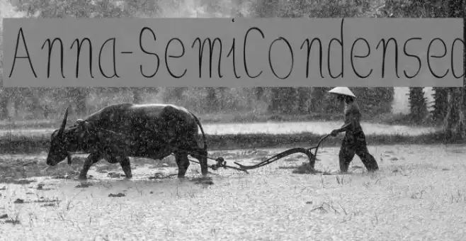 Anna-SemiCondensed Font examples