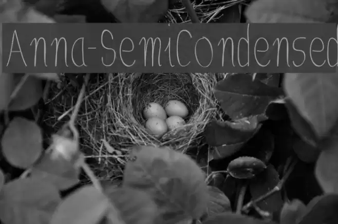 Anna-SemiCondensed Font examples