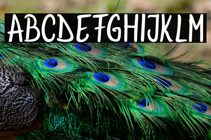 AnnaBeeRegular Example 3