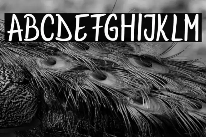 AnnaBeeRegular خط examples