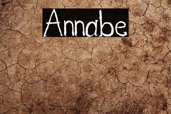 Annabe Example 3