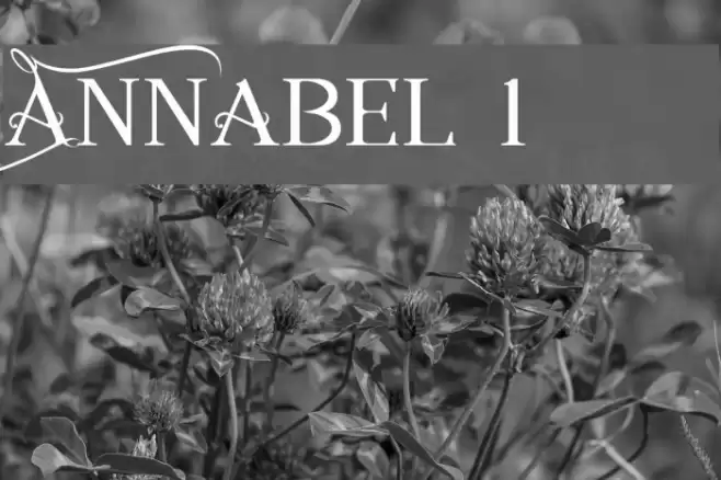 Annabel 1 Font examples
