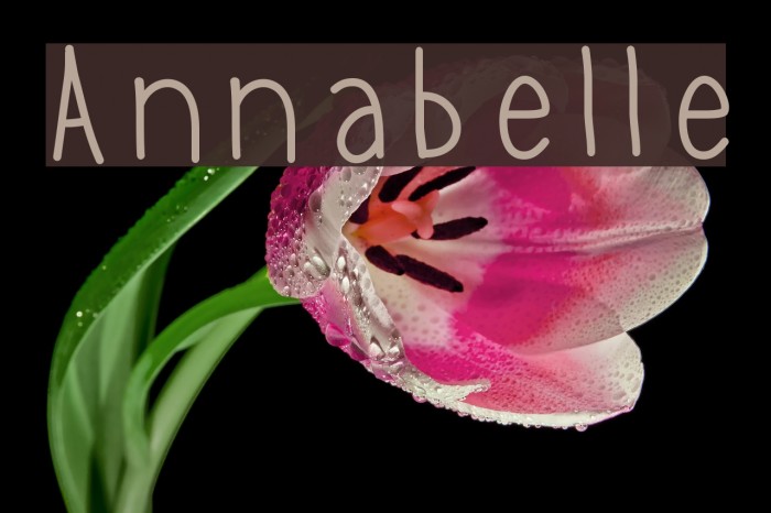 Annabelle Font examples