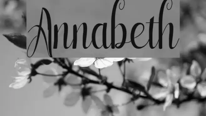 Annabeth Font examples