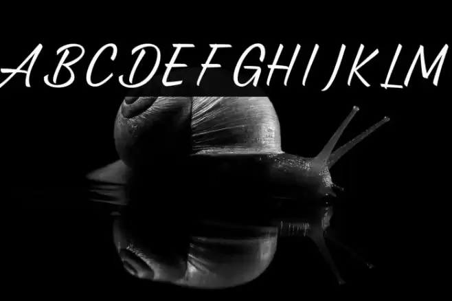 Annalucia Font examples