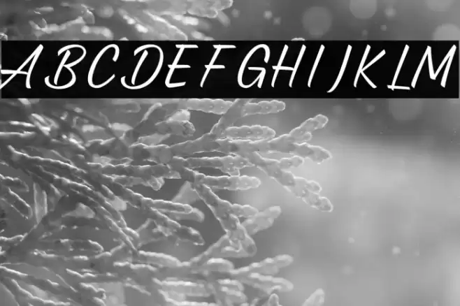 Annalucia Font examples