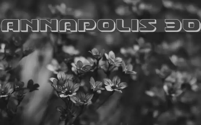 Annapolis 3D Font examples