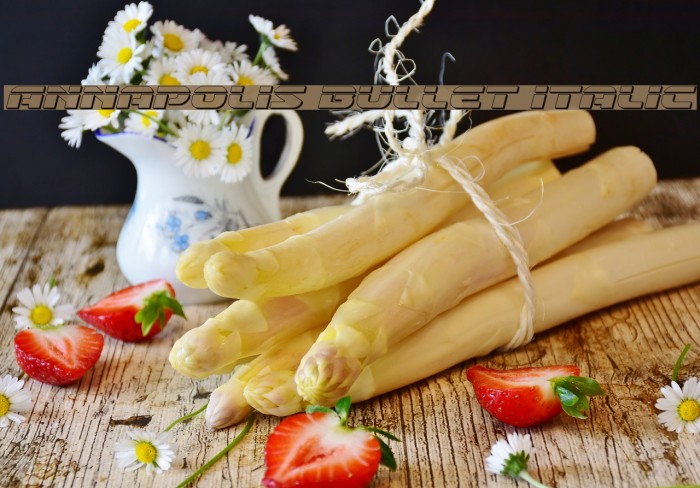 Annapolis Bullet Italic Example 1