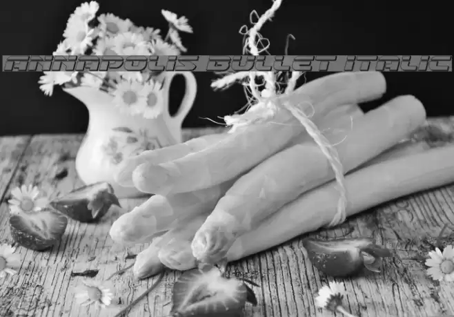 Annapolis Bullet Italic Font examples