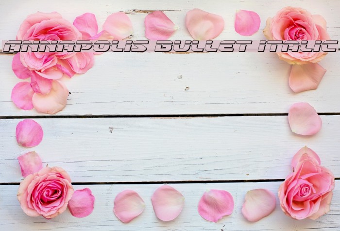 Annapolis Bullet Italic Example 3