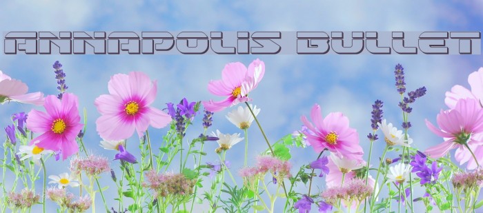 Annapolis Bullet Font examples