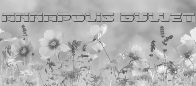 Annapolis Bullet Font examples