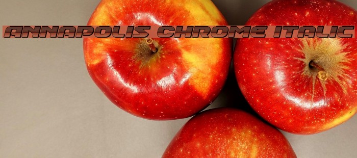 Annapolis Chrome Italic Font examples