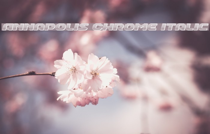 Annapolis Chrome Italic Font examples