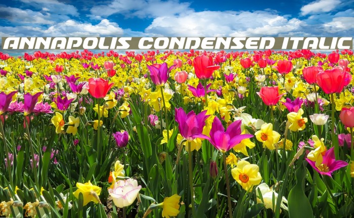 Annapolis Condensed Italic Font examples