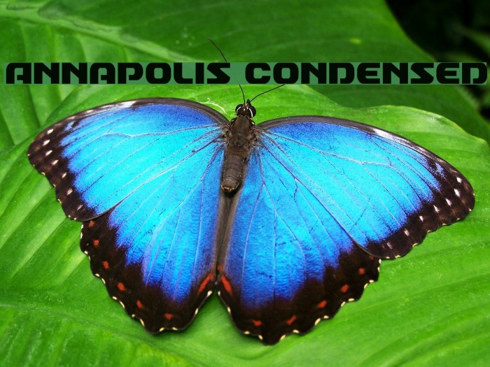 Annapolis Condensed Font examples