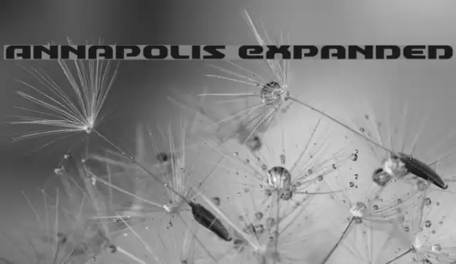 Annapolis Expanded Font examples