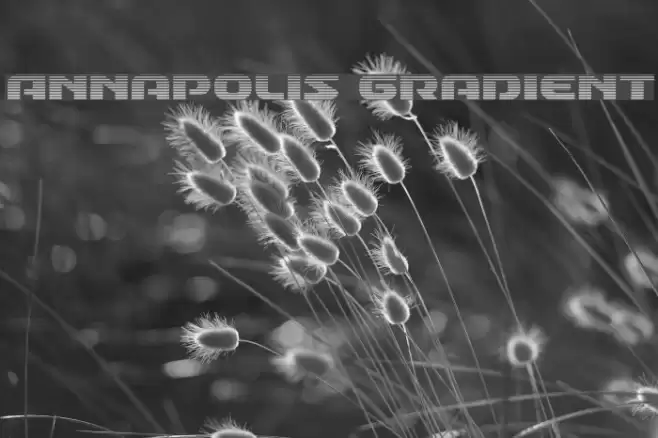 Annapolis Gradient Font examples