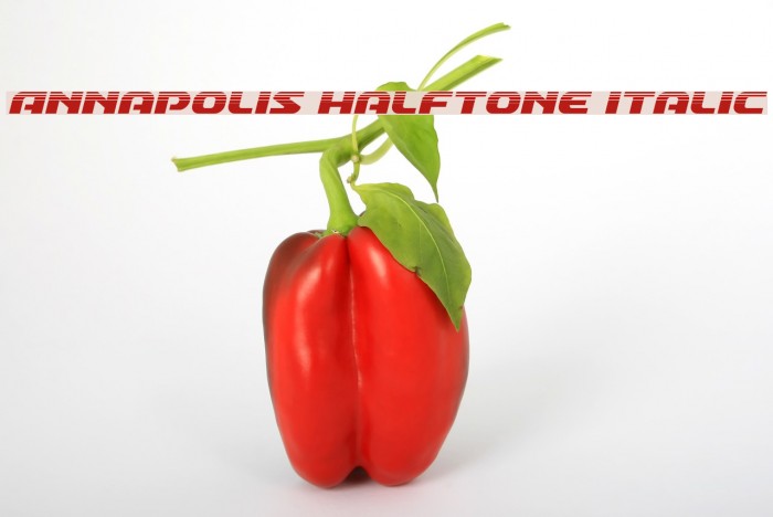Annapolis Halftone Italic Font examples