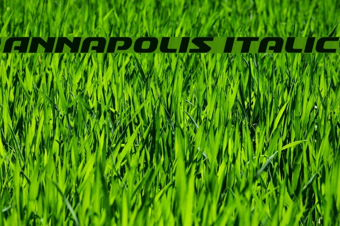 Annapolis Italic Font examples