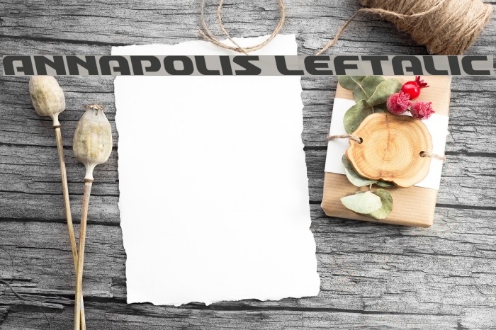 Annapolis Leftalic Font examples