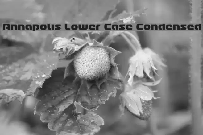 Annapolis Lower Case Condensed Font examples