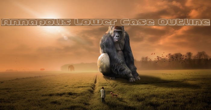Annapolis Lower Case Outline Example 1