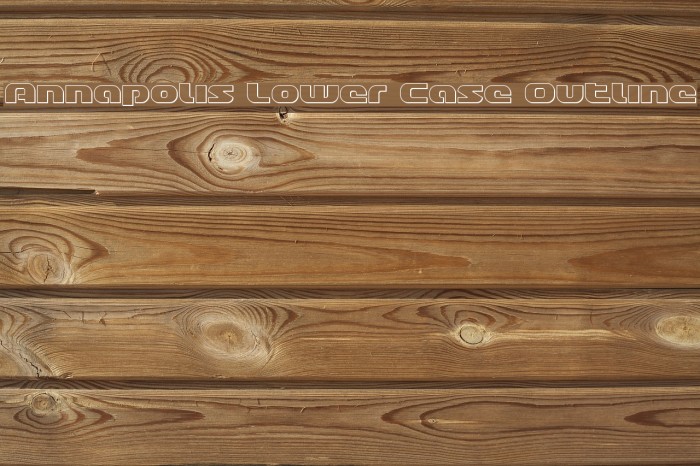 Annapolis Lower Case Outline Example 3