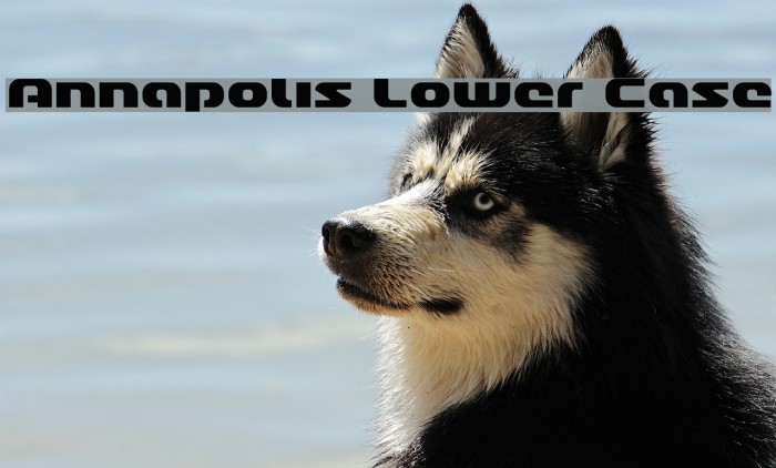 Annapolis Lower Case Font examples