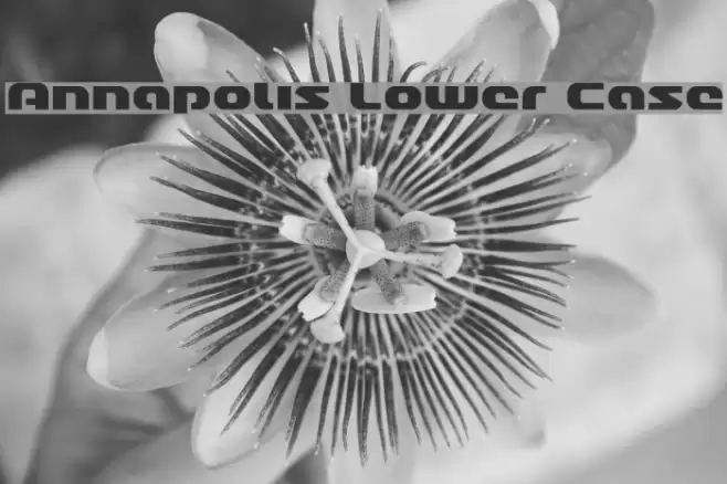 Annapolis Lower Case Font examples