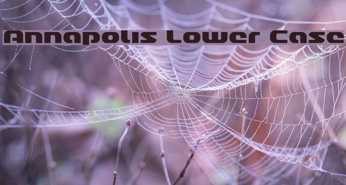 Annapolis Lower Case Font examples
