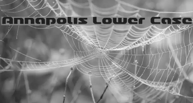 Annapolis Lower Case Font examples