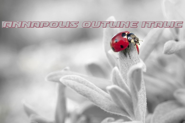 Annapolis Outline Italic Example 1