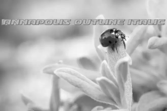 Annapolis Outline Italic Font examples