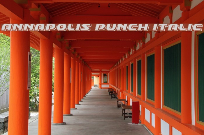 Annapolis Punch Italic Font examples