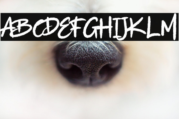 Anne Elya Regular Example 2