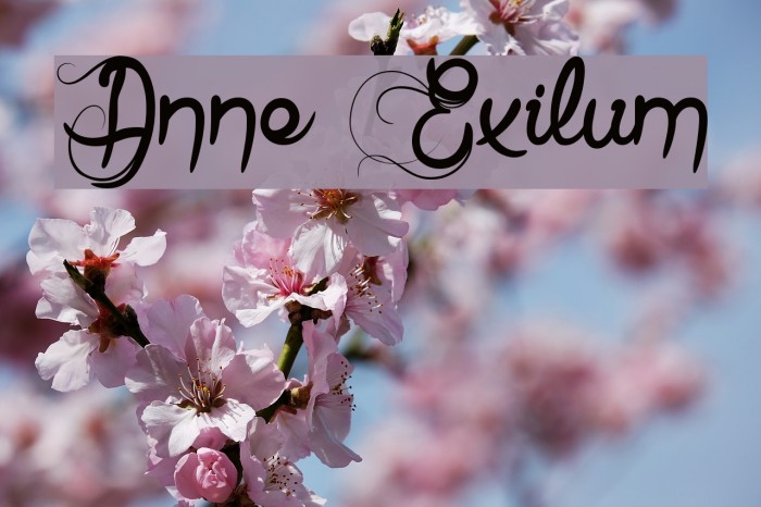 Anne Exilum Font examples