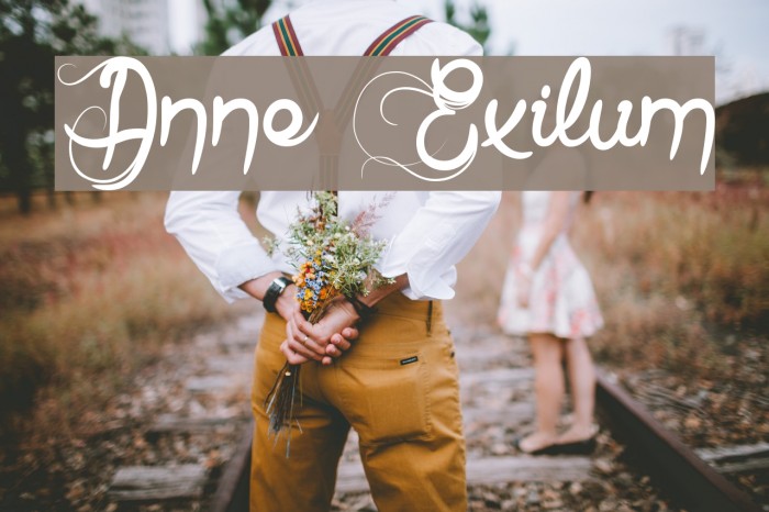 Anne Exilum Font examples