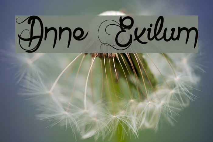 Anne Exilum Font examples