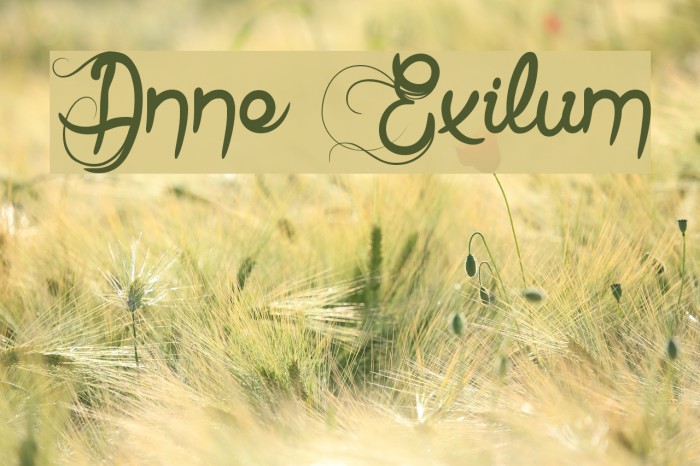 Anne Exilum Font examples