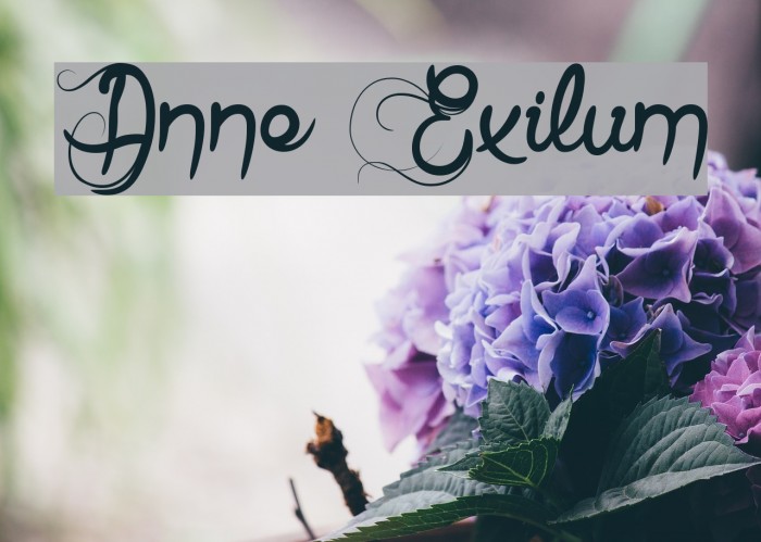 Anne Exilum Font examples