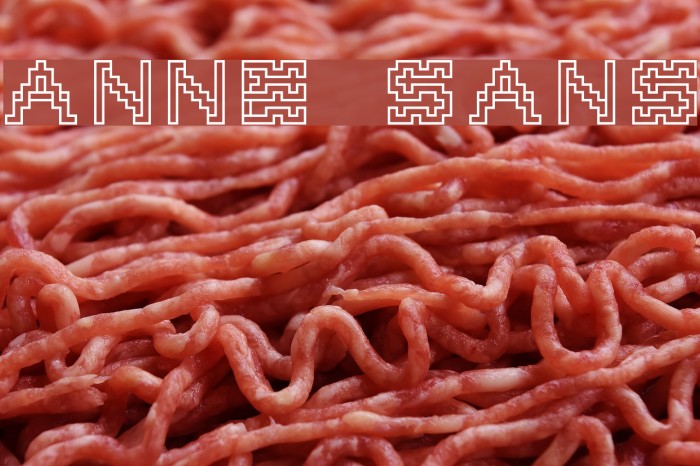 Anne sans Font examples